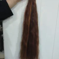 مو بانوان عزیز بوشهری