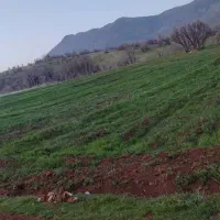 زمین خام سر جاده اصلی 3 طرف باز|فروش زمین و ملک کلنگی|آرمرده, |دیوار