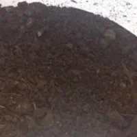 کودگاوی خشک بدون خاک اره|لوازم جانبی حیوانات|ماسال, |دیوار