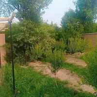 اجاره باغ ویلا دهبالا طرزجان منشاد سانیج مهریز|اجارهٔ کوتاهمدت ویلا و باغ|یزد, |دیوار