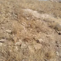 یونجه اول و دوم پرس ۹۰ سانتی