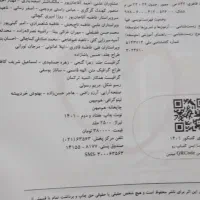 چند جلد کتاب کنکور تجربی|کتاب و مجله آموزشی|رباطکریم, شهرک والفجر|دیوار