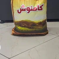 برنج با نرخ دولتی|خوردنی و آشامیدنی|ورامین, ورامین|دیوار