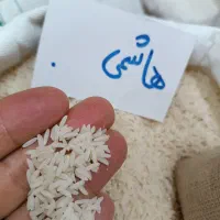 برنج ایرانی طارم هاشمی