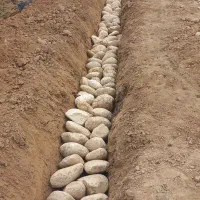 بنا با سابقه بالا|خدمات پیشه و مهارت|دزفول, |دیوار