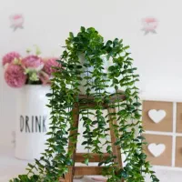 شمشاد مصنوعی پر تراکم و سبز