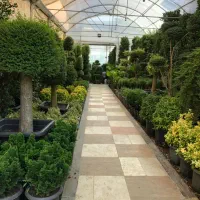 باغبانی کاشت گل و گیاه هرس ‌ سم پاشی|خدمات باغبانی و درختکاری|چهارباغ, |دیوار