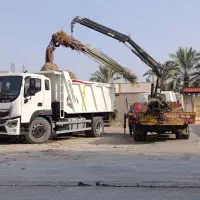 خرید نخل های زیر 5متر با ریشه فقط تعداد بالا|خدمات باغبانی و درختکاری|آبپخش, |دیوار