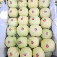 سیب درختی درجه ممتاز|خوردنی و آشامیدنی|تهران, محمودیه|دیوار