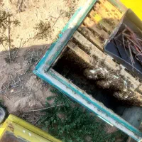 نیروی کار در زنبورستان