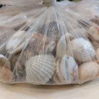 آکواریوم aqua رومیزی|ماهی|تهران, تهرانپارس شرقی|دیوار