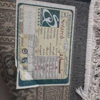 قالی ۵۰۰ شانه کویر یزد تمیز وکمکار|فرش|مشهد, شهرآرا|دیوار