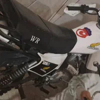 موتورتریل ۱۵۰پیشرو گلد|موتورسیکلت|اشتهارد, |دیوار