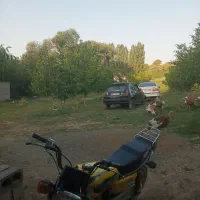 پیکی مدل ۸۳
