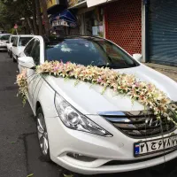 اجاره ماشی عروس
