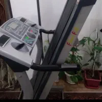 تردمیل|تجهیزات ورزشی|برخوار, |دیوار