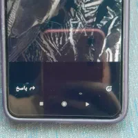 گمشده عروس هلندی مژدگانی|پرنده|الوند, |دیوار