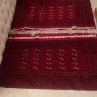 پشتی کرک بسیار ریز بافت