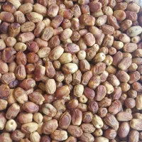 خرمای زاهدی فقط  139