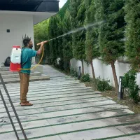 هرسکاری و سم پاشی با دستگاه با ۱۰سال تجربه کار|خدمات باغبانی و درختکاری|آمل, |دیوار
