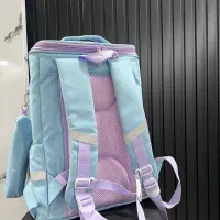 کیف مدرسه|کیف، کفش، کمربند|رشت, فلسطین|دیوار