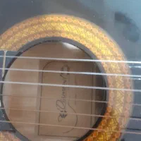 گیتار|گیتار، بیس، امپلیفایر|بندر ماهشهر, |دیوار