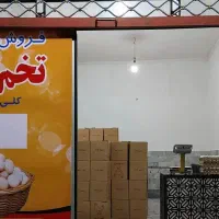 فروش تخم مرغ روز