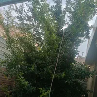 منزل ویلایی باهنر|فروش خانه و ویلا|اصفهان, آهنگران|دیوار
