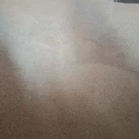 جو .|عمدهفروشی|قیدار, |دیوار