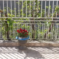 خانه ویلایی نادری (زعفرانیه)