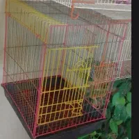 قفس|لوازم جانبی حیوانات|شهر ری, شهرری|دیوار