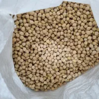 نخود ریز محلی بوجاری شده