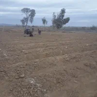 فروش ۳ هکتار زمین با ۲۰ ساعت آب موتور الوسجرد