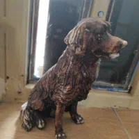 مجسمه سگ رتریور|مجسمه، تندیس، ماکت|بندر امام خمینی, |دیوار