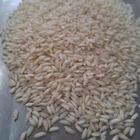 برنج عنبربو رستگار امسالی1404(جزئی وکلی)|خوردنی و آشامیدنی|مشهد, رسالت|دیوار