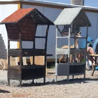 نیازمند استادکار نمای سیمانی سیمان کار باربیکیو