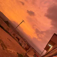 داوطلب بازی شب های مافیا کافه بعثت