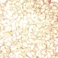 لوبیا چیتی تابستانه|خوردنی و آشامیدنی|سیلوانه, |دیوار