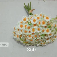 بوته بابونه خارجی ۲۰۰گل زیر قیمت