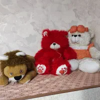 عروسک پولیشی کاملاً سالم بدون ایراد