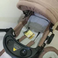 کالسکه و کریر برند دلیجان نو|کالسکه و لوازم جانبی|چمران, |دیوار