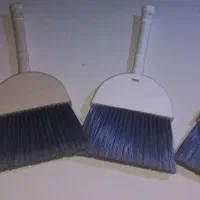 جاروی تک لیمون