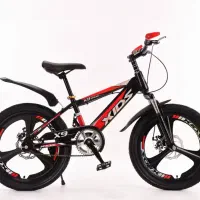 دوچرخ20 مارال