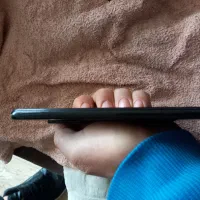 شیامی نوت ۸|موبایل|تالش, هشتپر|دیوار