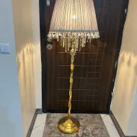 آباژور کنارسالنی