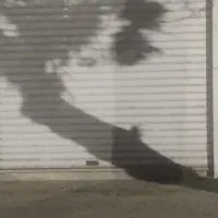 مغازه ۴۰متری اجاره خواجه ربیع