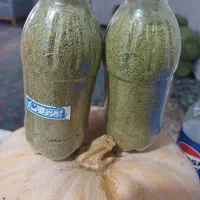آویشن
