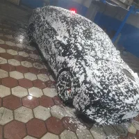 نیروی کارواش