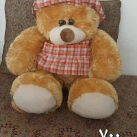 عروسک نو|اسباب‌‌بازی|اردبیل, |دیوار