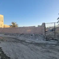 زمین متراژ بالا در بازار نبوت ۵۰